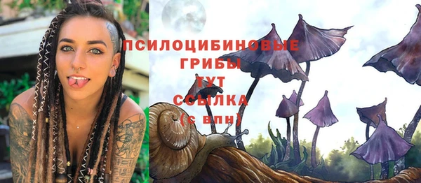 гидра Беломорск
